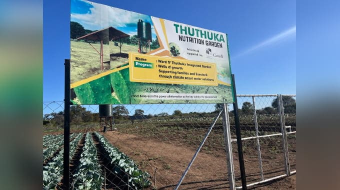 Cactus offers new hope  for farmers  battling drought