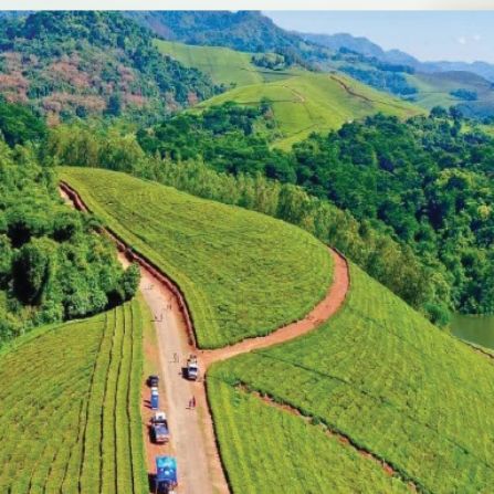 Can regional markets turn farms into export powerhouses?
