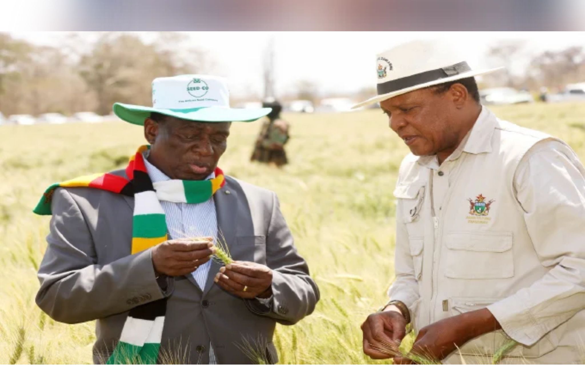 Pricabe: A powerful story of Zim’s agric transformation