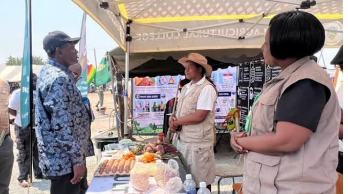 Insiza expo urged to drive value chains, investment