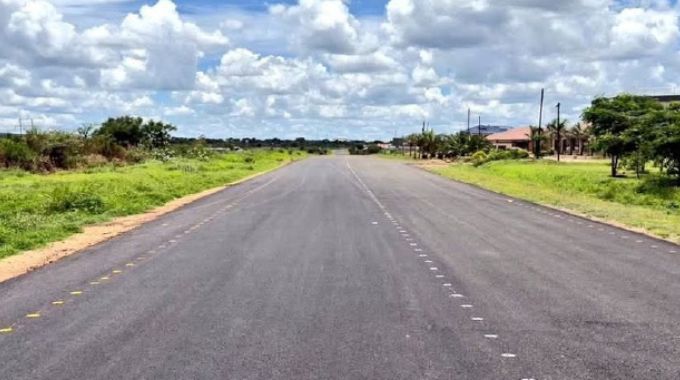 Head injuries for driver who crashed in attempt to avoid dog on the road