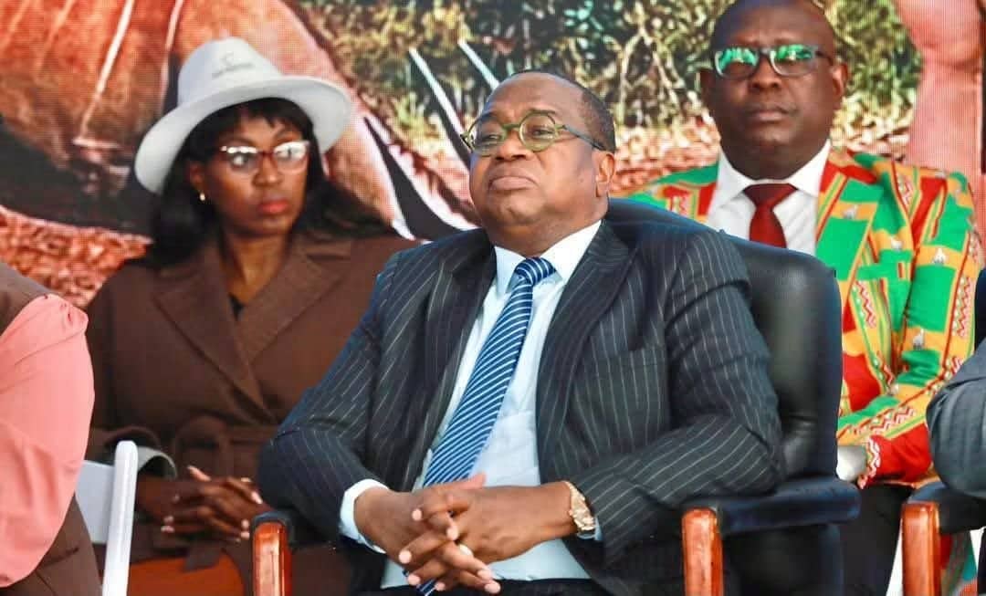 Prof Ncube headlines tourism investment forum
