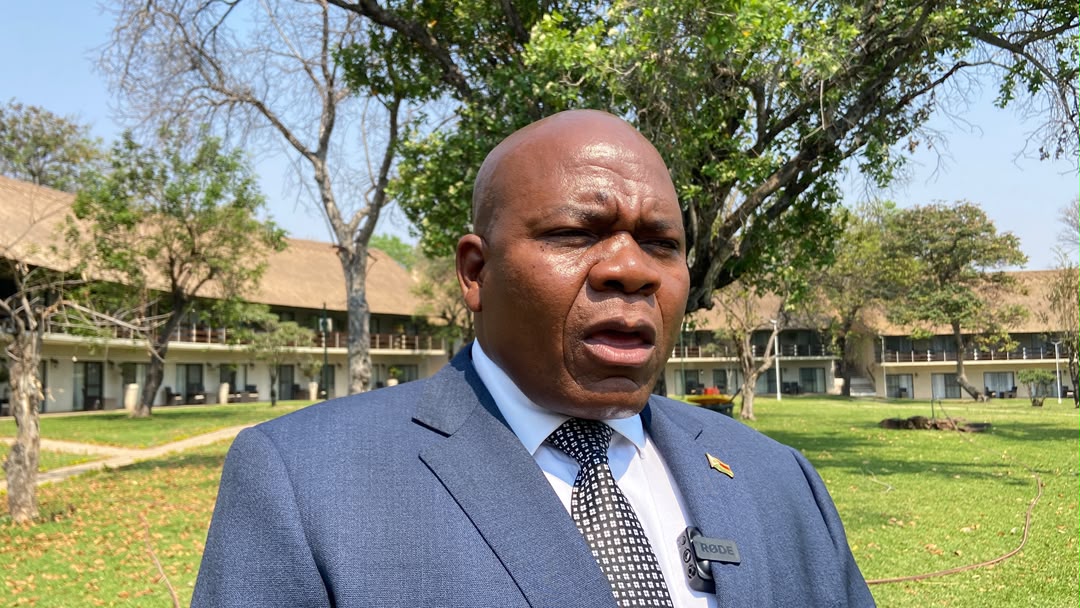 Zimbabwe’s aviation safety milestone hailed