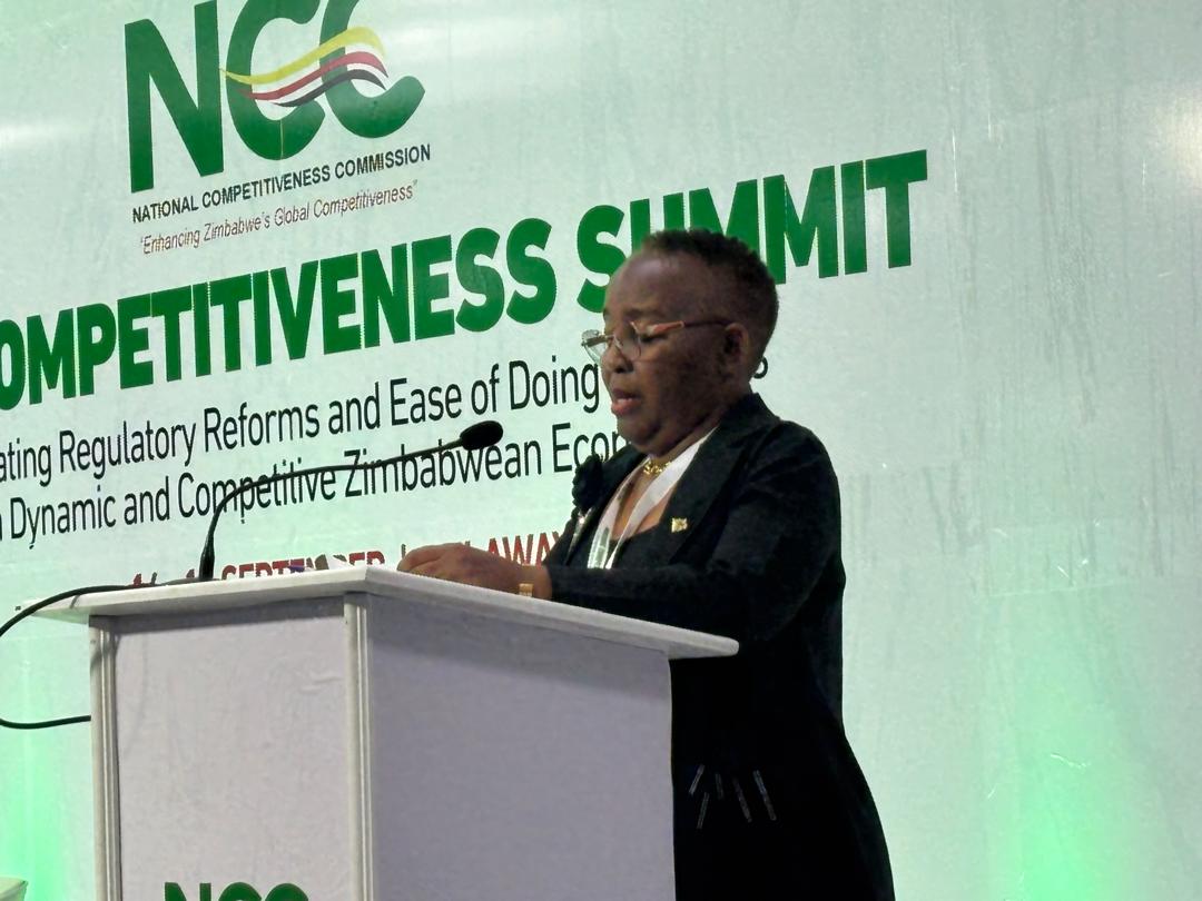 COMESA chairmanship opens export window for Zimbabwe
