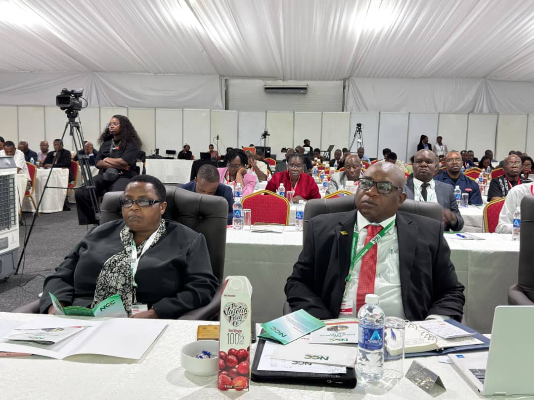 Bulawayo positions itself as competitiveness test case