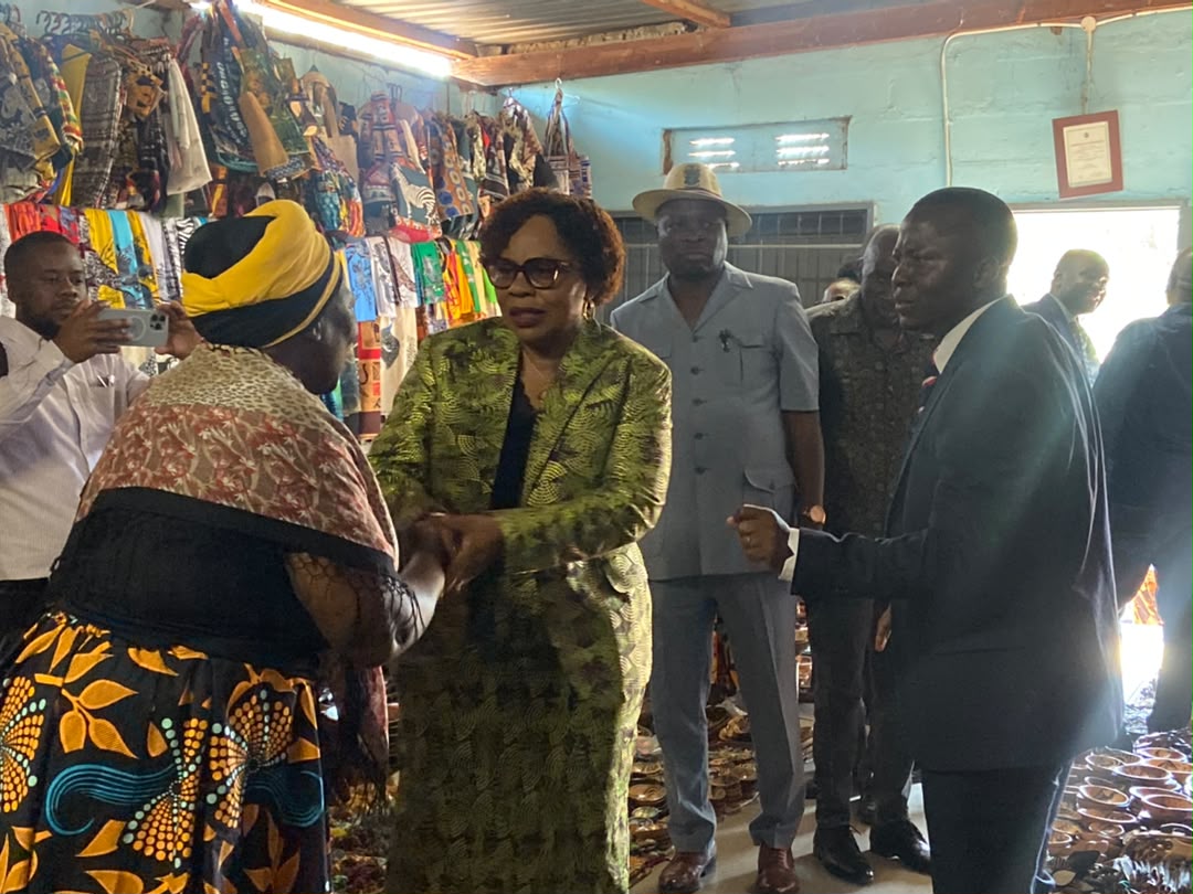 Government launches Matabeleland North co-operative unit