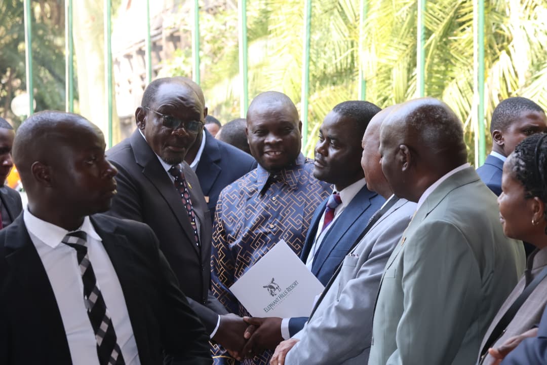 Acting President Mohadi arrives for TNF summit opening