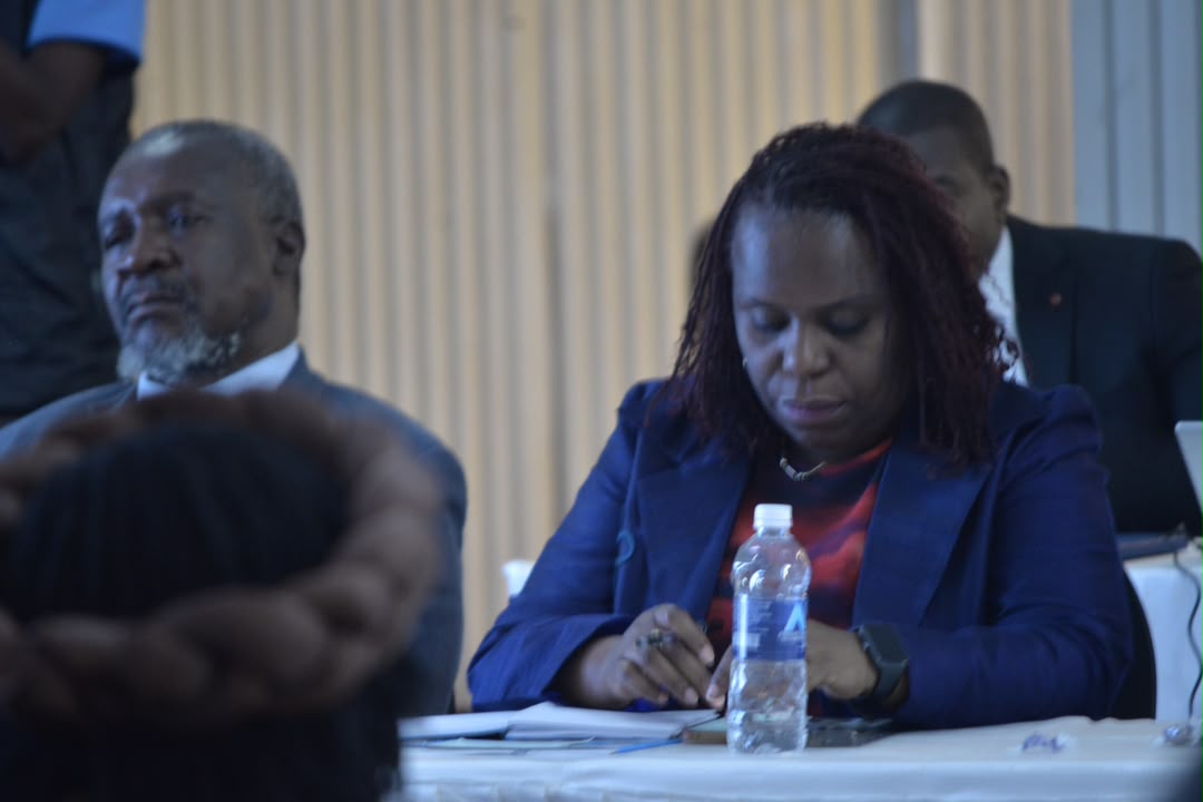 UNICEF pushes stronger local authority WASH capacity