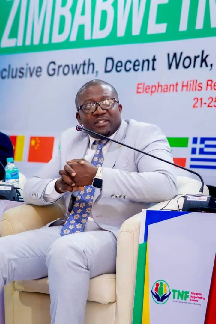 Manufacturing resurgence anchors Zimbabwe’s economic transformation