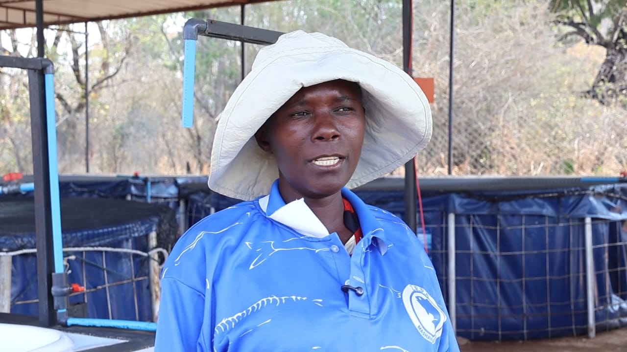 WATCH: 450 Masvingo farmers benefit from EU-Govt fish initiative