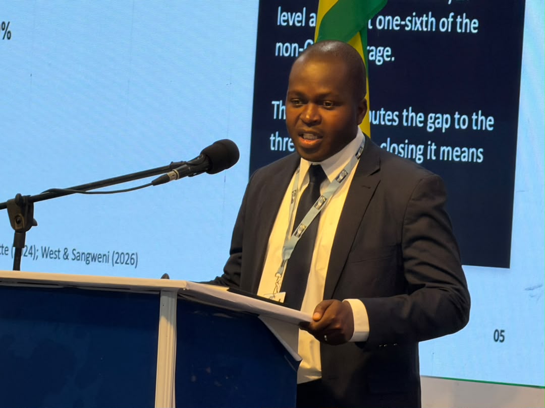 Calls to convert Zimbabwe’s diaspora remittance into long-term capital.