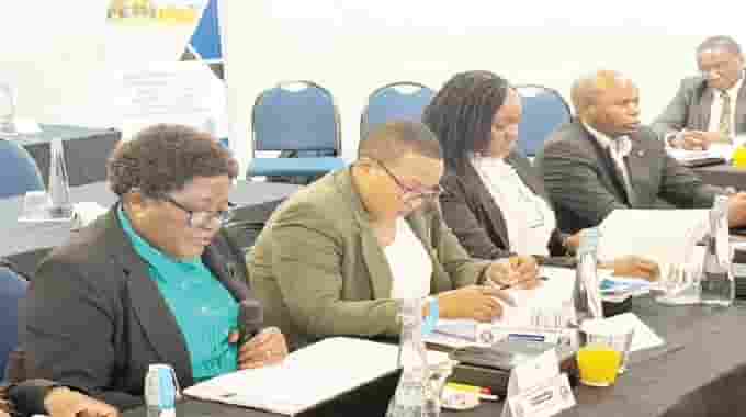 ‘Governance, audits key to unlocking NRZ capital’