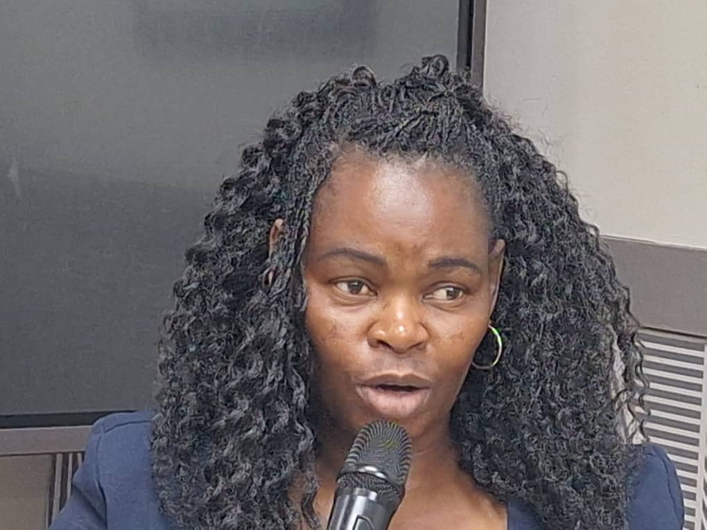 Call for legislative frameworks that govern unpaid care work in Zimbabwe