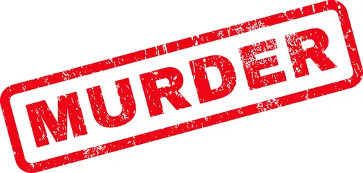 Bulawayo businessman shot dead, robbers get away with US$10 000