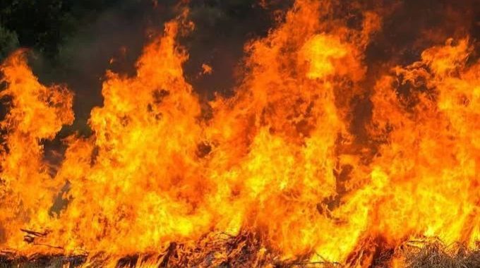 Veld fire incidents drop 17pc as prevention efforts pay off