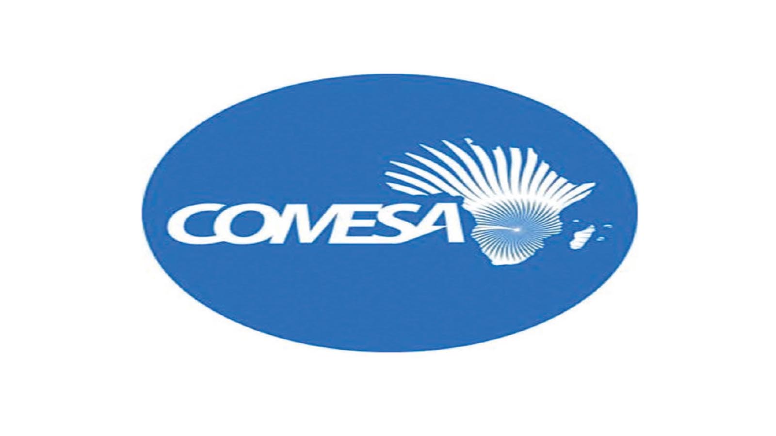 Economists back COMESA chairmanship to boost economy