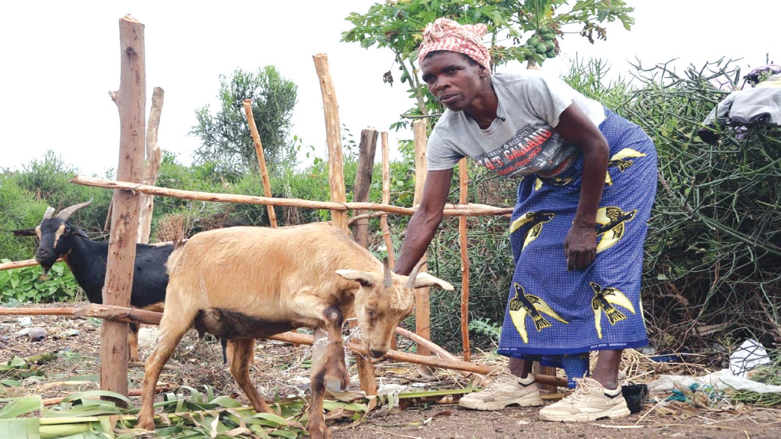 THE CHANGING FACE OF ZIM’S VILLAGES