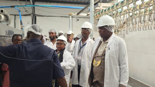 New poultry abattoir transforms rural Chegutu