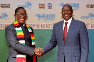 ‘Break trade barriers’. . .  Zimbabwe rallies African countries