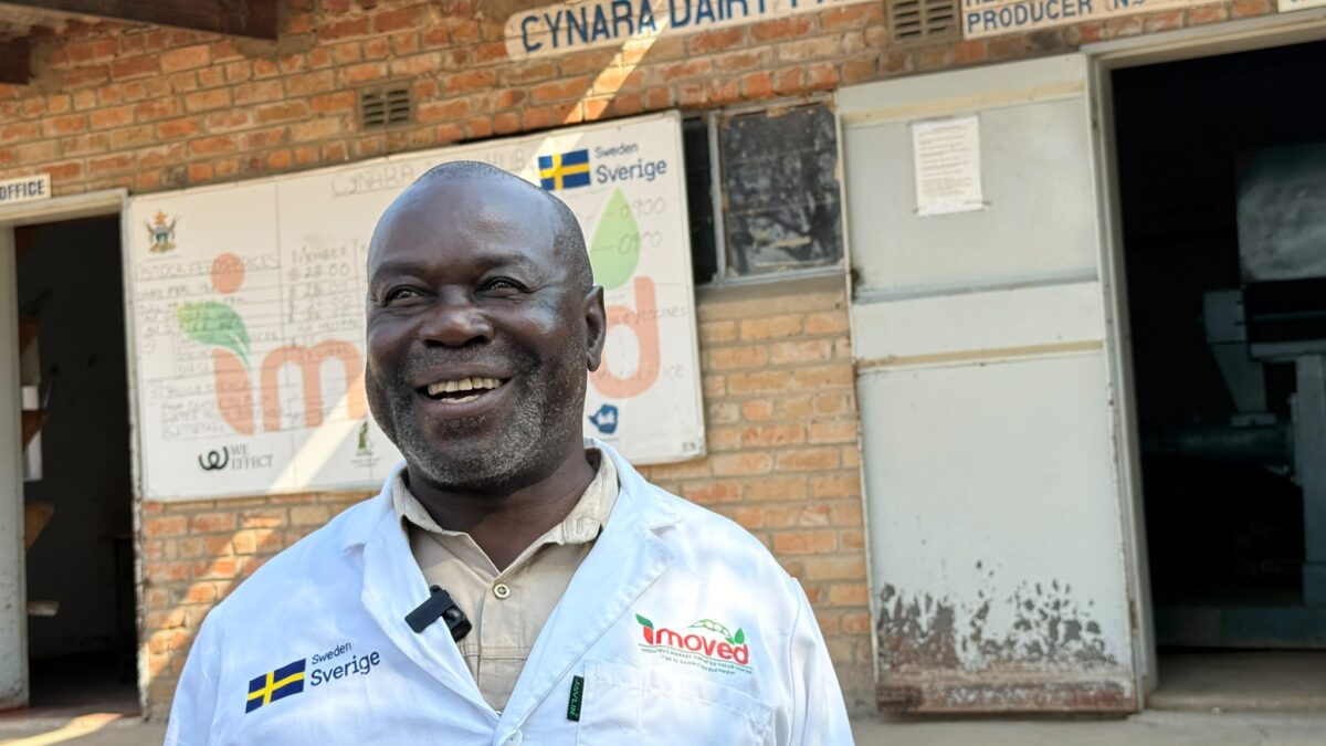 Smallholder dairy farmers power milk boom