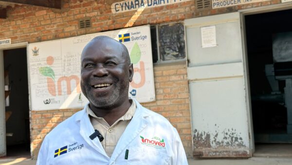 Smallholder dairy farmers power milk boom