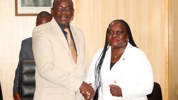 Kenyan Ambassador pays courtesy call on VP Mohadi
