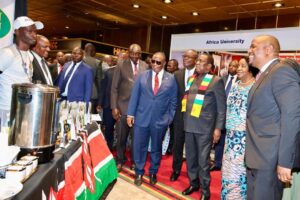 Harare delivers ‘most successful’ summit