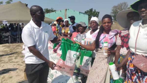 Hwedza farmers hail Pfumvudza targets