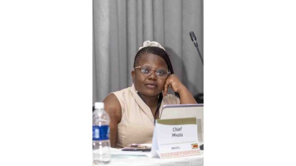 African traditional leaders meet to tackle human-wildlife conflict