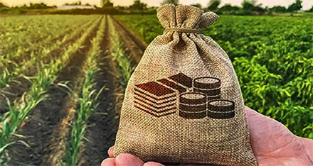 Farmers urged to embrace agriculture insurance