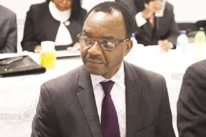Ambassador Maridadi slams inadequate intellectual property laws fueling bio-piracy of African traditional knowledge