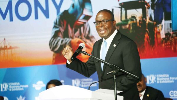 Zim rises to Africa’s 14th largest economy