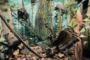 Discovering Mutare Museum’s treasures