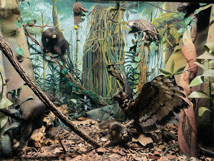 Discovering Mutare Museum’s treasures