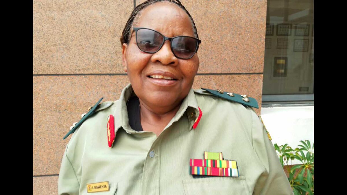 ZNDU calls for inclusive informal sector formalisation