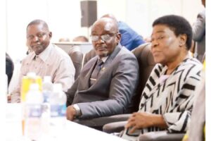 Turn cultural industries into  viable enterprises: VP Mohadi