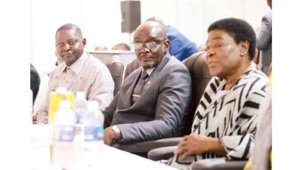 Turn cultural industries into  viable enterprises: VP Mohadi