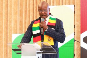 Garwe urges diaspora to invest in urban and rural development