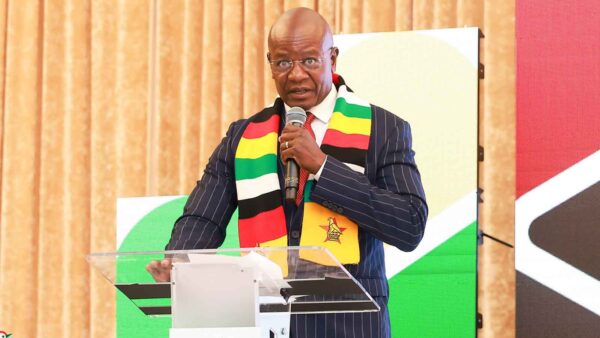 Garwe urges diaspora to invest in urban and rural development