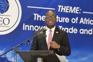 CEO Africa Roundtable: Minister Murwira says peace is goal number one, trade is its lifeline