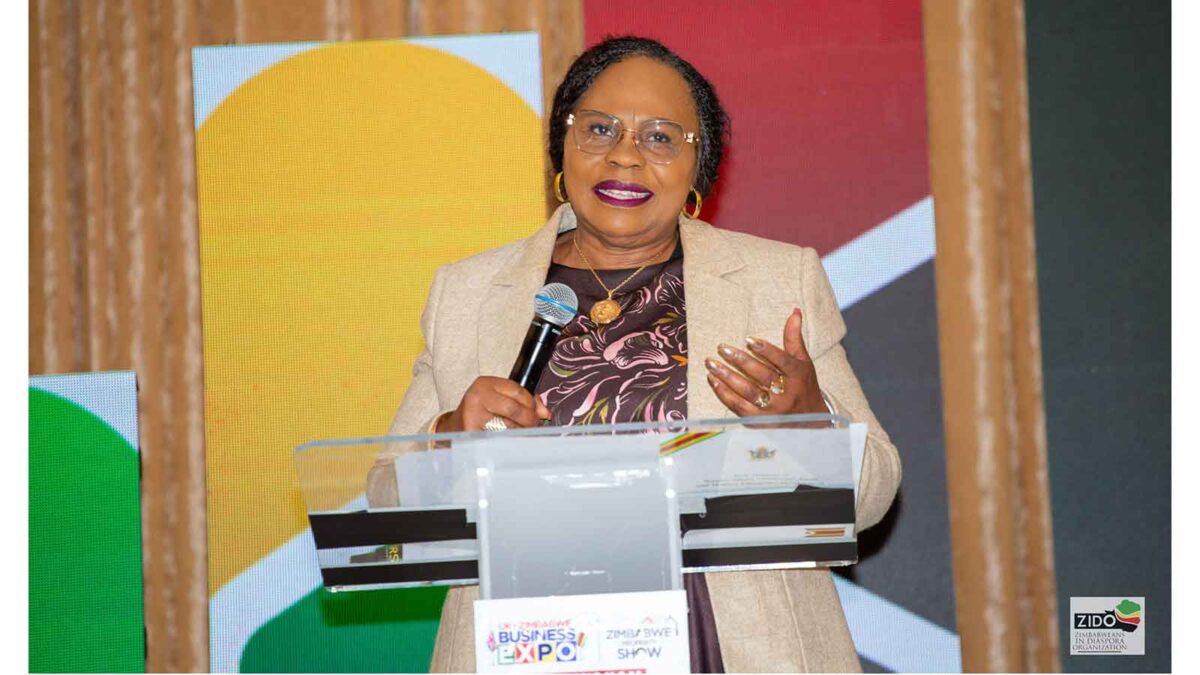 Zim-UK summit: Mutsvangwa urges diaspora to invest beyond remittances