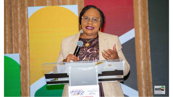 Zim-UK summit: Mutsvangwa urges diaspora to invest beyond remittances