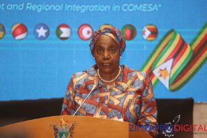 COMESA targets border bottlenecks
