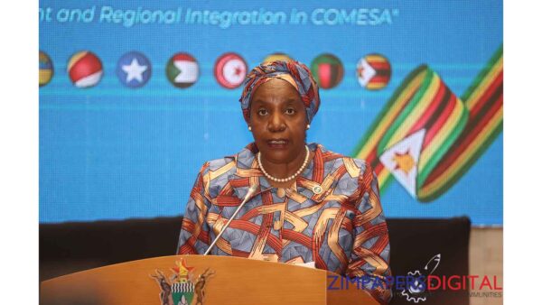 COMESA targets border bottlenecks