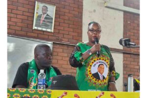 Zanu PF Mash West leadership to visit Kariba ferry victims