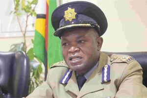 Police arrest  5 780 in national stock  theft blitz