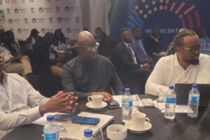 Angel capital key to unlocking Zimbabwe’s US$14bln SME ecosystem