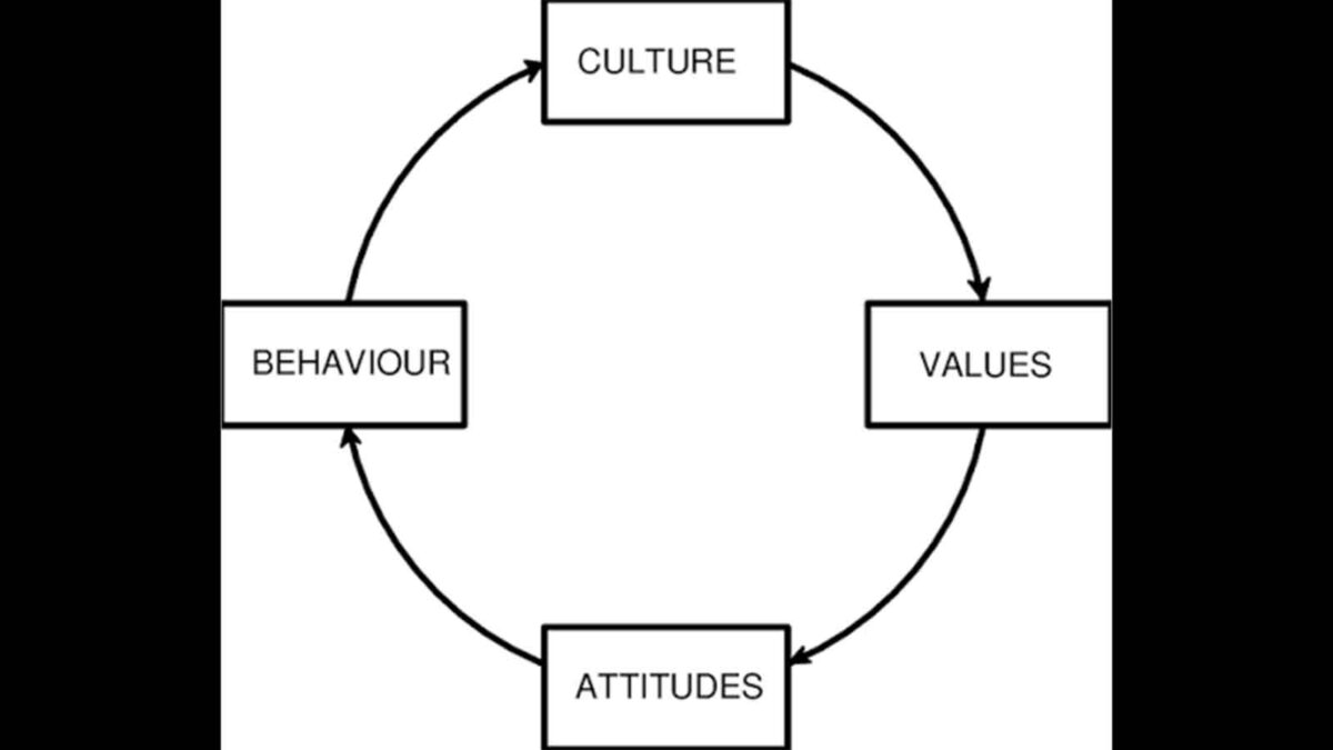 The impact of culture
