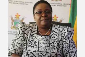 Government calls for non-compliant housing developers to suspend operations
