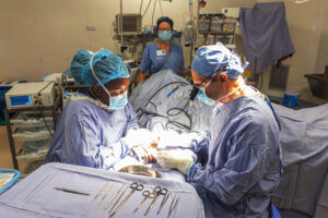 Free specialised care for Chipinge children